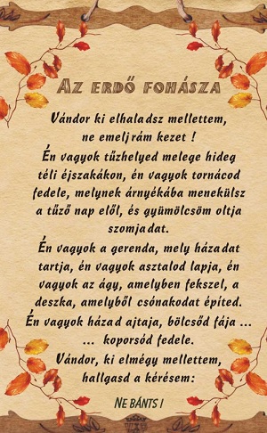 Timi mes�k