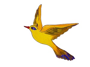 H�vd Furuly�csk�t!