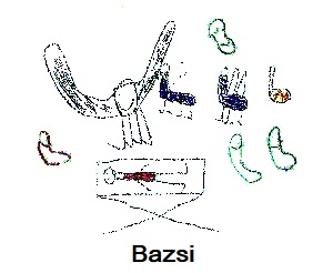 R�pi rajz