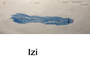 R�pi rajz